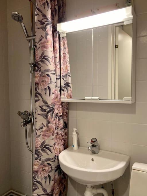 Viehaettaevae Asunto Heinolan Keskustassa Apartment ภายนอก รูปภาพ